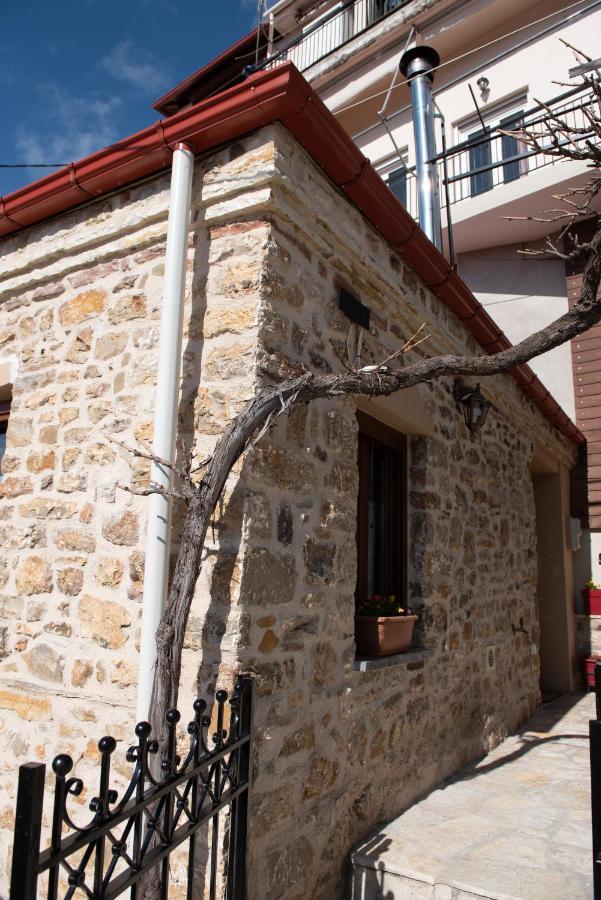 Apartamento Το Πέτρινο Της Γιαγιάς Μαρίκας Karpenísion Exterior foto